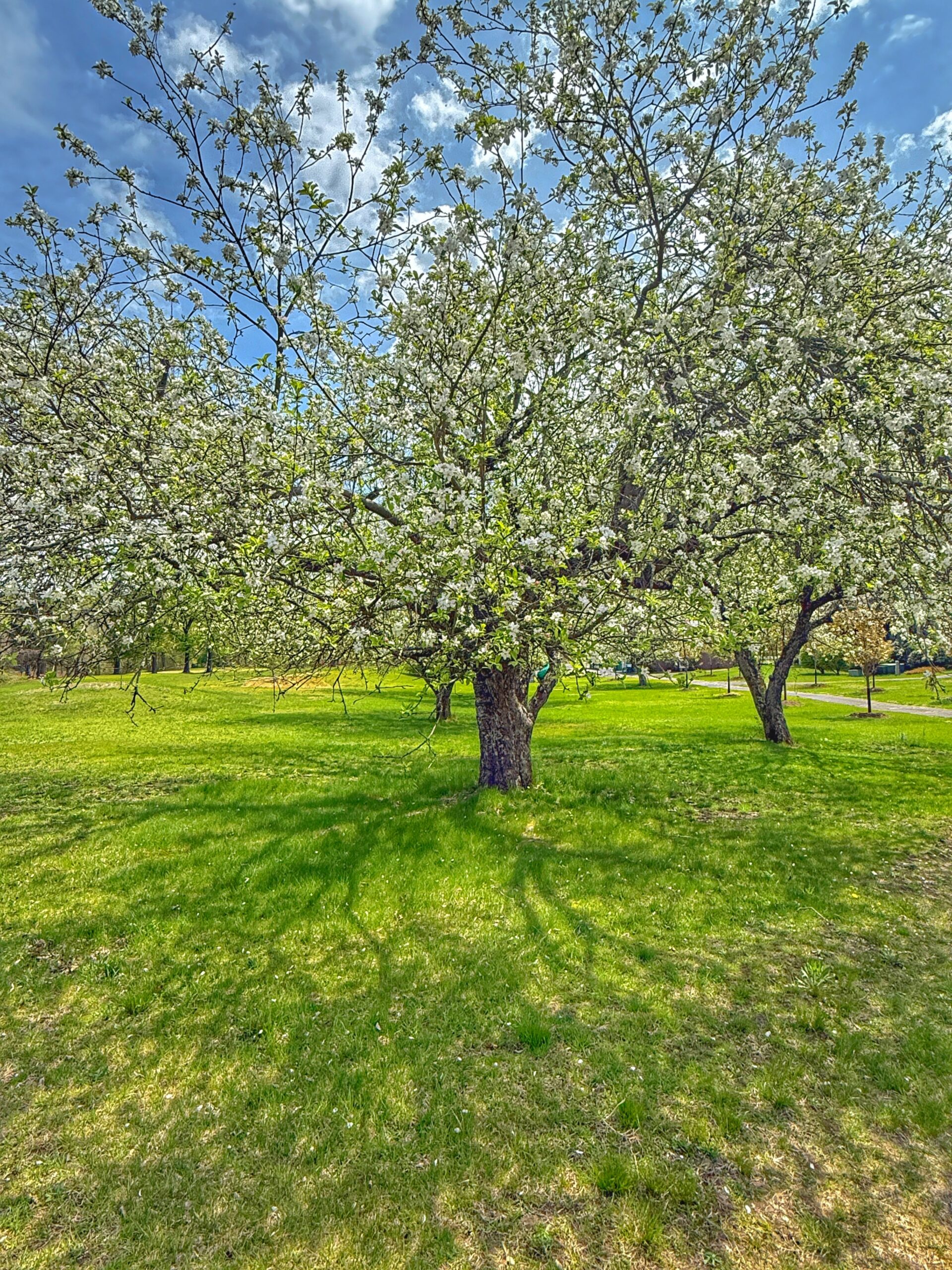 IMG_5630