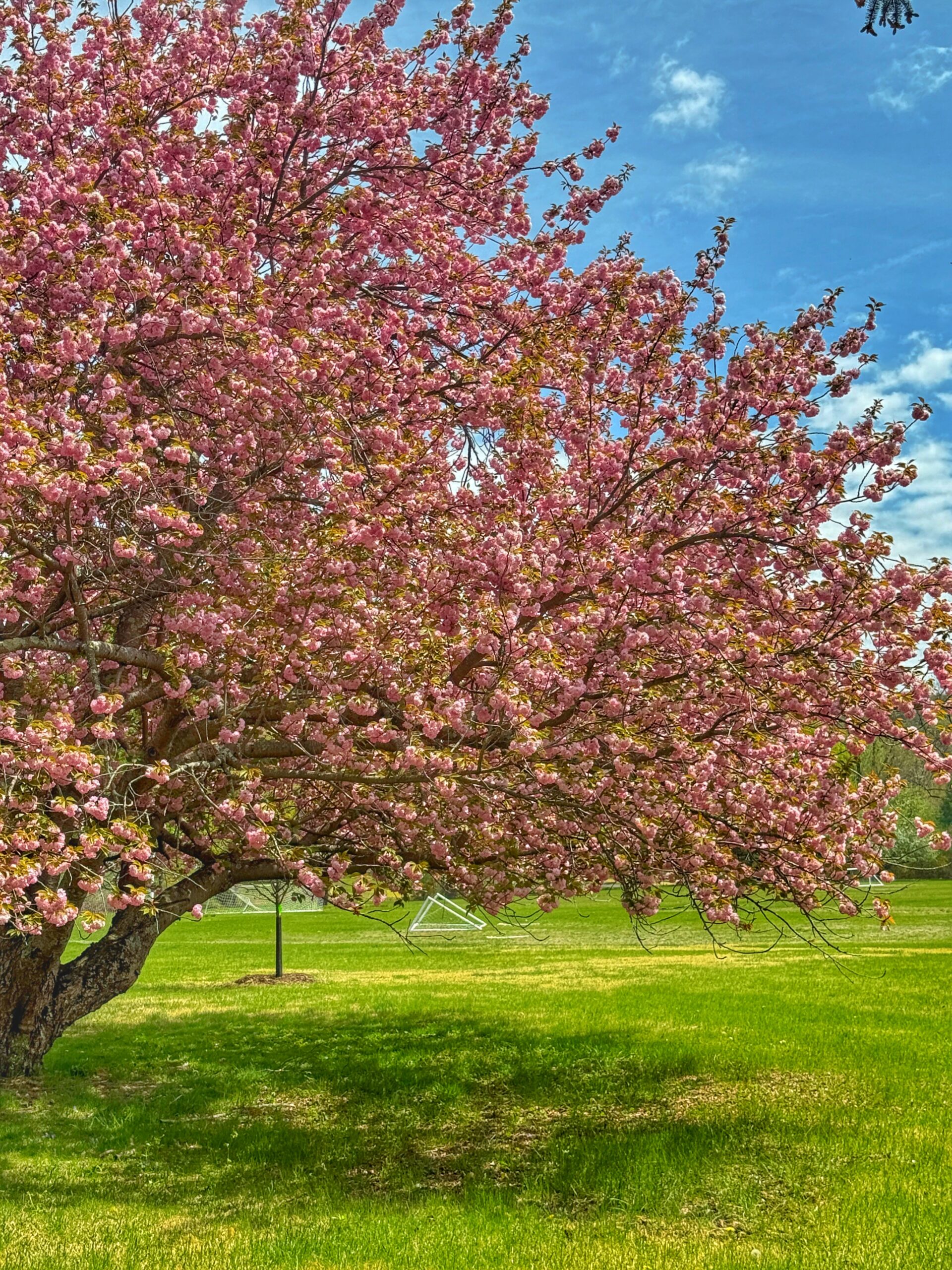 IMG_5632