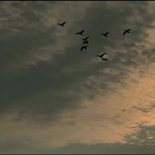 The beauty of the nature